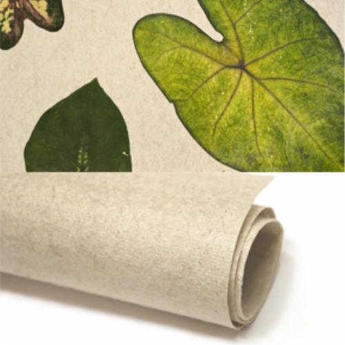 Oberfläche Tropical Heart